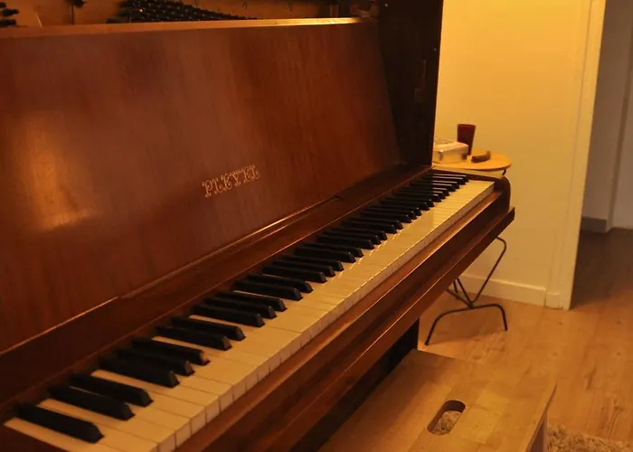 Grande Maison Cosy En Coeur De Village * Lisle-sur-Tarn